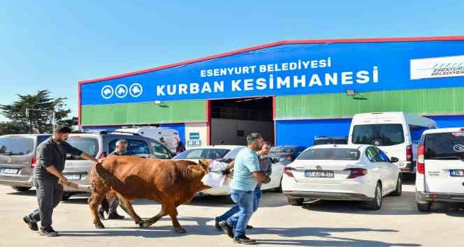 Esenyurt’ta kaçak kurban kesimine geçit yok