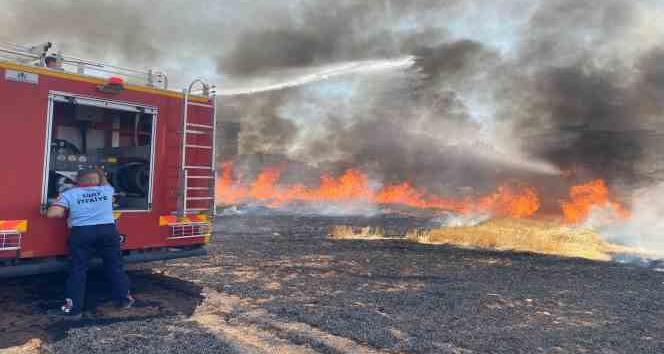 Siirt’te 130 dekar tarım arazisi küle döndü