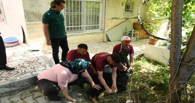 174 vatandaşın evlerine gidilerek, kurban kesim hizmeti verildi