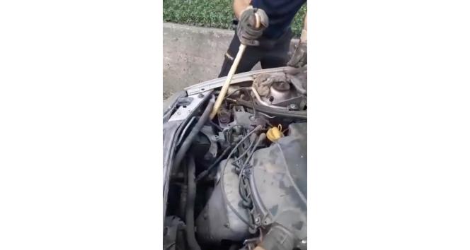 Motora giren yılan güçlükle çıkarıldı