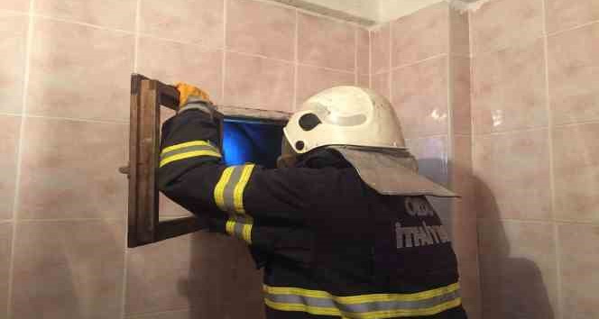 Çatı arasında mahsur kalan kedi kurtarıldı