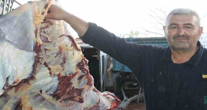 Edirne’de kasapların kurban kesim mesaisi sürüyor