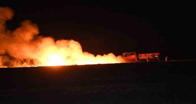 Keşan’da 100 dönüm alanda ekili buğday kül oldu