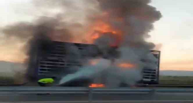 Tavuk yüklü dorse yandı: 1500 tavuk telef oldu