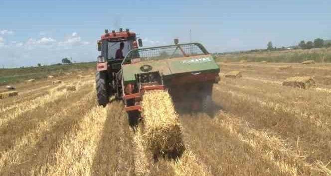 Trakyalı çiftçinin saman mesaisi