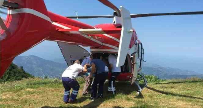 Yayla sezonunun başlaması ile mesaileri yoğun geçiyor