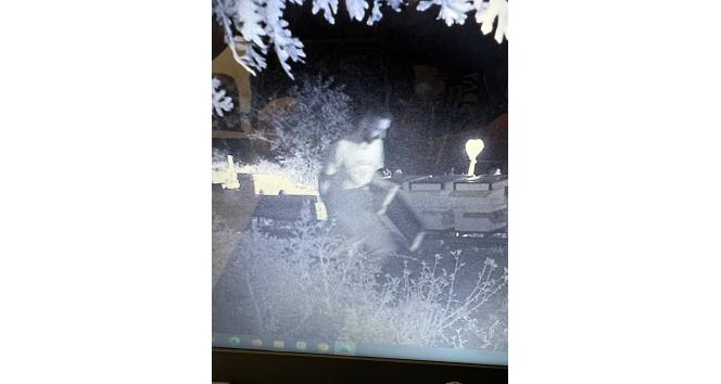 Çanakkale’de Bal Ormanlarına ayıların girmemesi için kurulan foto kapana hırsız takıldı