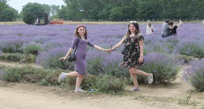 Romanya’dan Edirne’deki lavanta bahçesini ziyaret etmeye geldiler