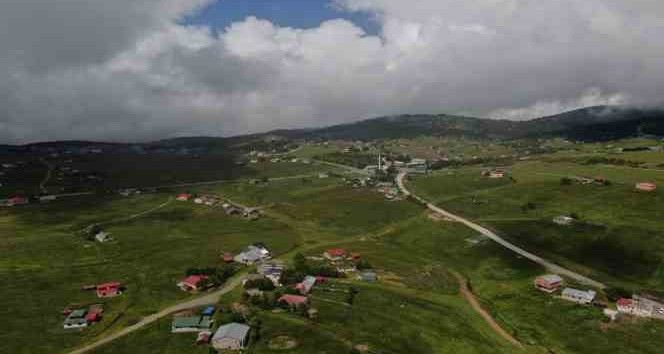 Kurban Bayramı tatilinde Haçka Yaylası’na ziyaretçi akını