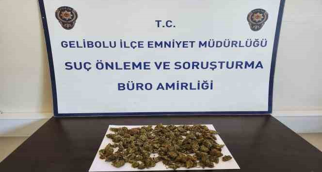 Gelibolu’da sırt çantasından 90 gram skunk çıktı: 2 gözaltı
