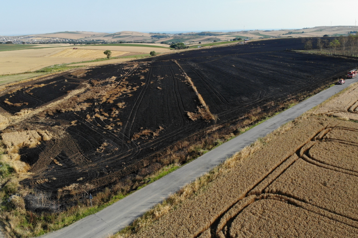 Çatalca&#039;da 200 dönümlük buğday tarlası alev alev yandı