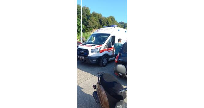 Denizde boğulma tehlikesi geçiren tır şoförü hayatını kaybetti