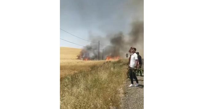 Kozluk’ta 100 dönüm buğday tarlası küle döndü