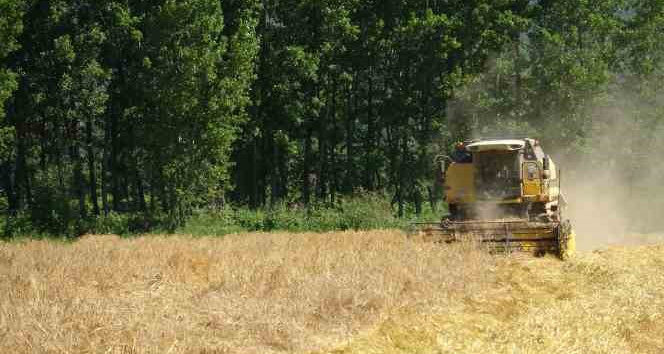 Sağanak yağışlar çiftçinin yüzünü güldürmedi