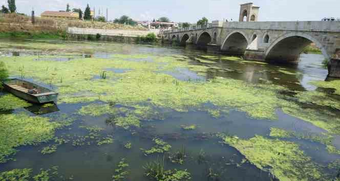 Edirne’de Tunca Nehri plastik atıklar ve çöplerle kaplandı