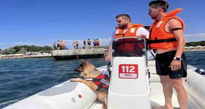 Ezine’de boğulma vakalarına karşı K9 köpeği Leydi ve dalgıçlar iş başında