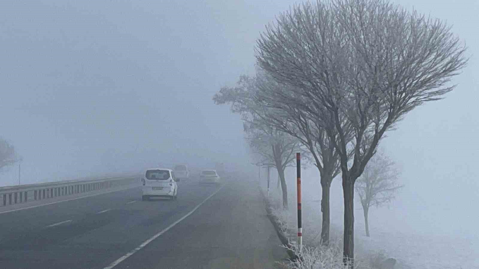 Bitlis’te ağaçlar kırağı tuttu