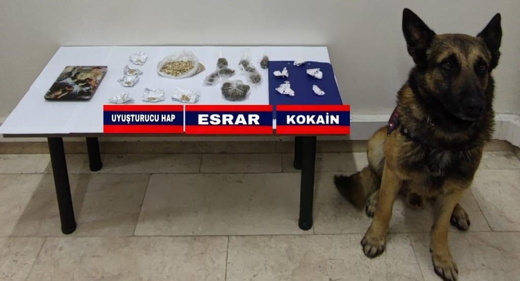Bolu’da uyuşturucu operasyonu