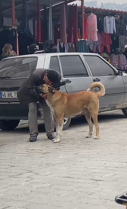 Yaşlı vatandaşın sokak köpekleri ile diyaloğu ilgi çekti
