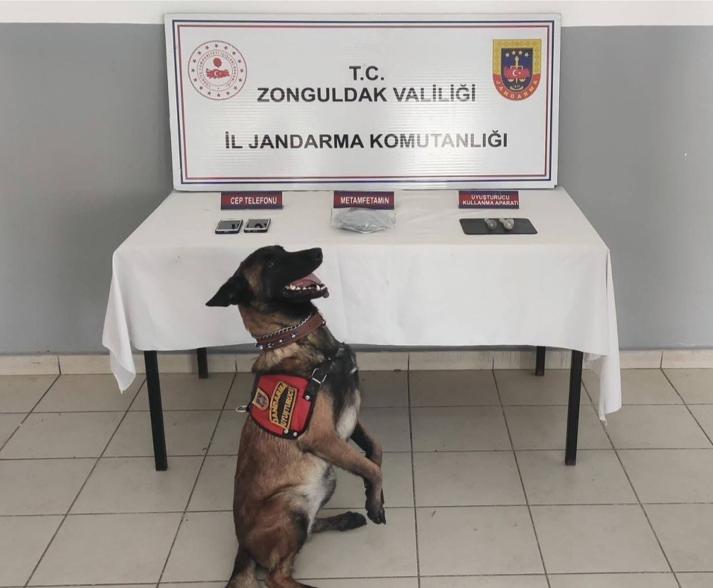 Zonguldak’ta jandarmadan uyuşturucu operasyonu