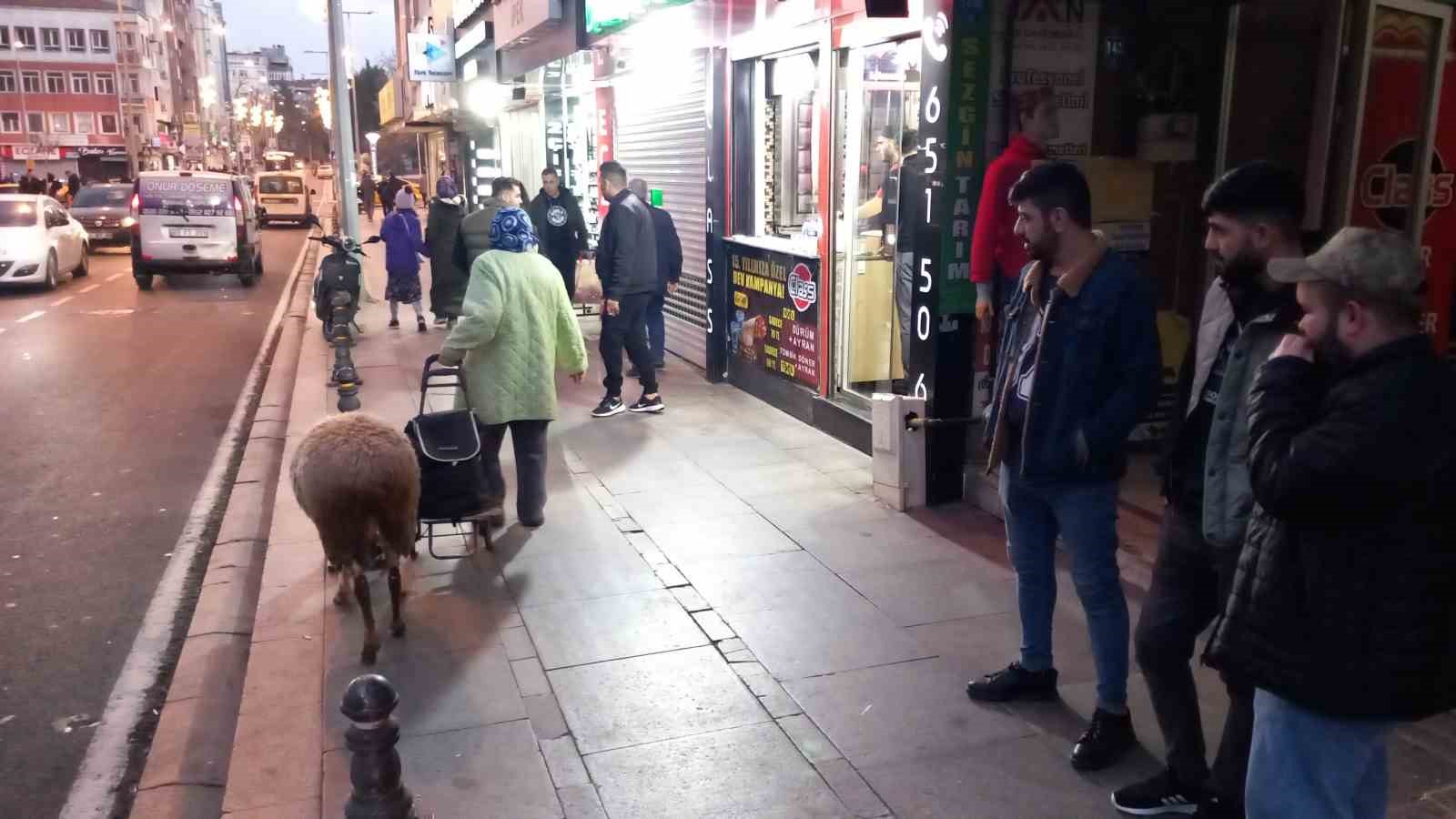 Kızı gibi baktığı koyunu peşinden ayrılmıyor
