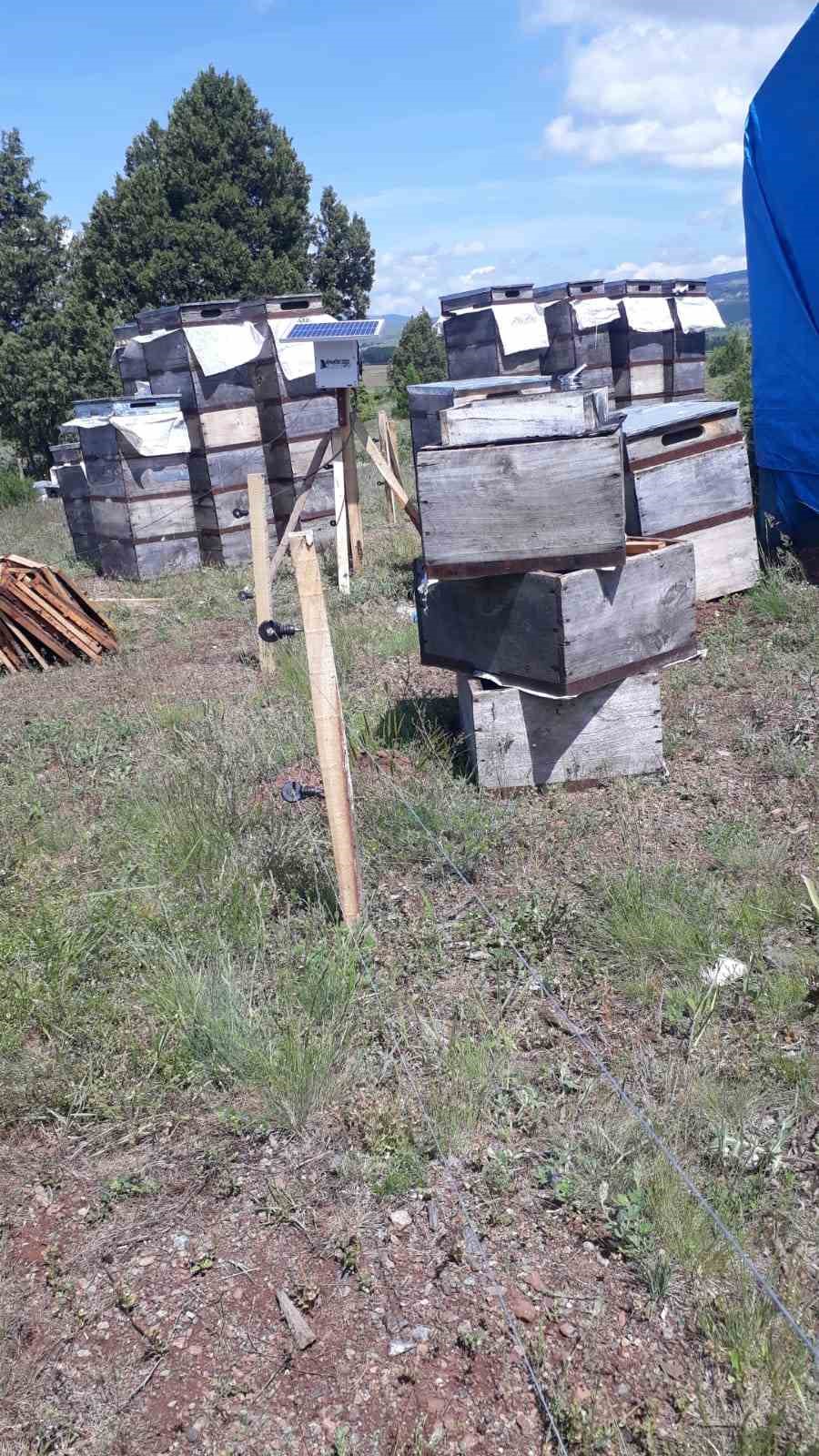 Tokatlı kaşiften ilgin&ccedil; keşif
