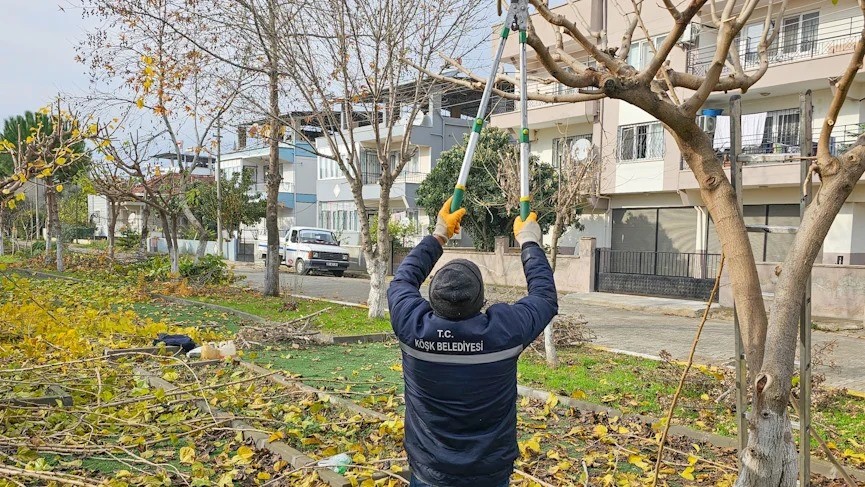 Köşk Belediyesi, yeşil alanların bakım çalışmalarını sürdürüyor
