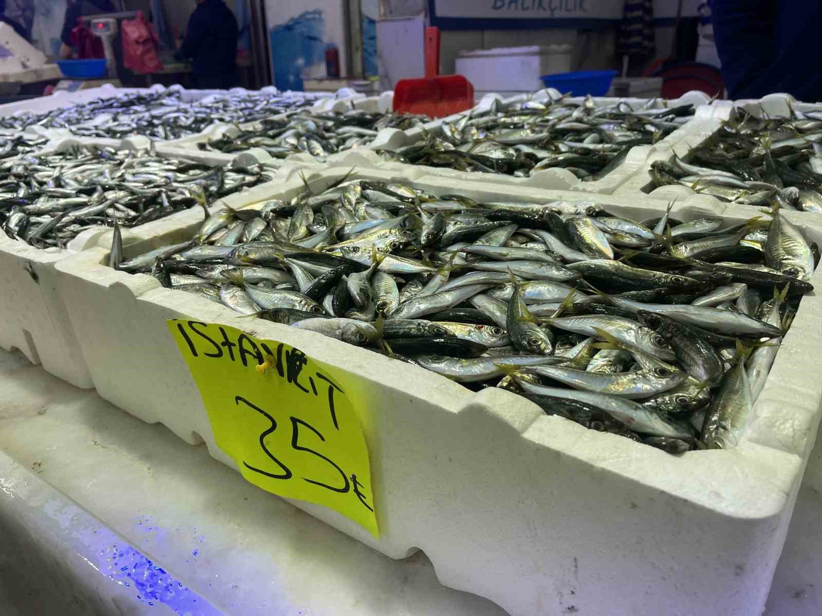 Tezgahlarda balık çeşitliliği arttı, hamsi azaldı 