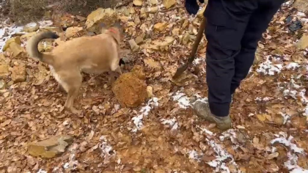 Lice ilçesinde 154 kilo esrar ele geçirildi