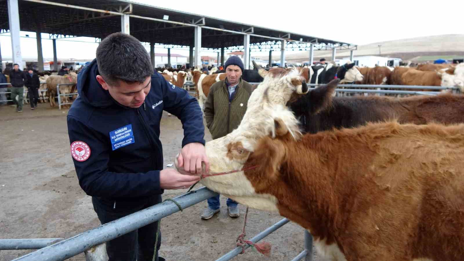 Yozgat’ta canlı hayvan pazarlarında sıkı denetim