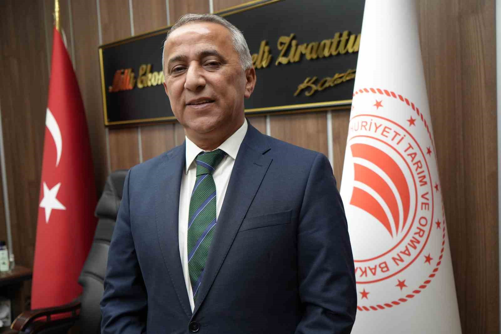 Susuz ve engebeli araziler zeytin bahçelerine dönüşüyor
