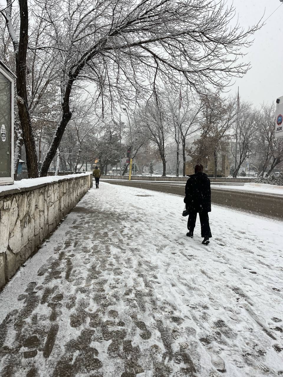 Ağrı’da kar yeniden etkili oldu
