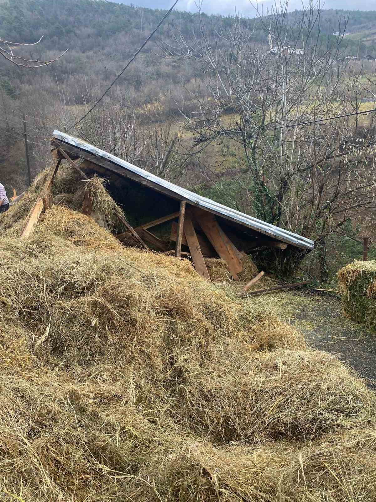 Artvin’de ahır çöktü: 2 hayvan telef oldu
