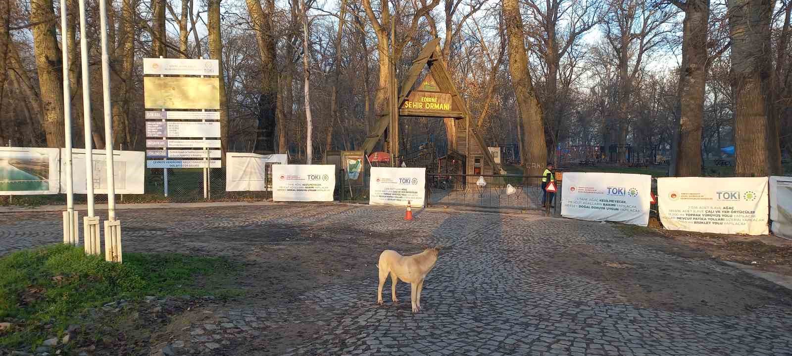 Edirne Kent Ormanı a&ccedil;ılacak
