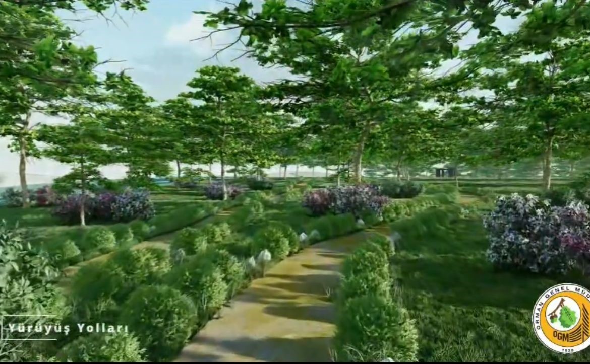 Sinop Millet Ormanı bu yıl tamamlanacak

