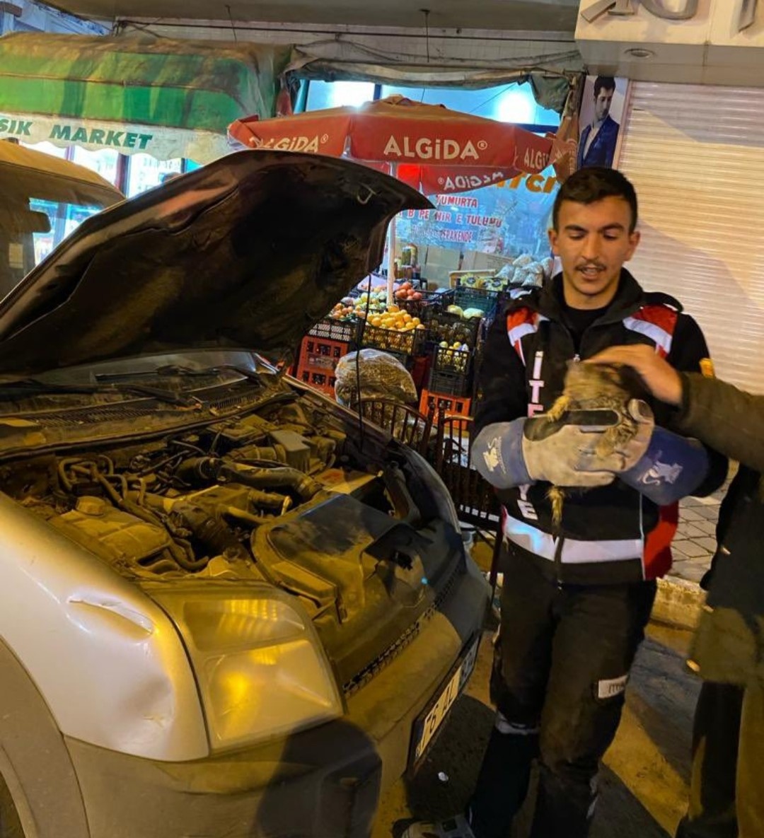 Iğdır’da otomobilin motoruna sıkışan yavru kedi kurtarıldı