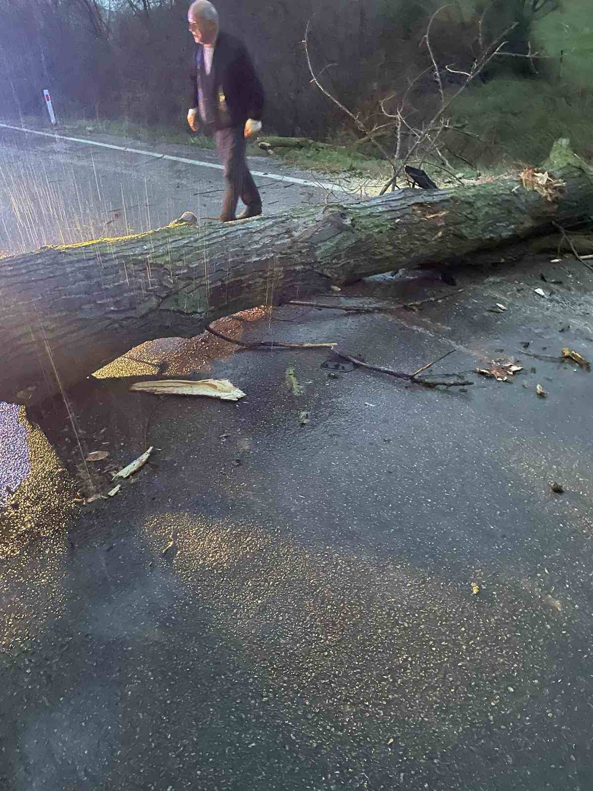 Biga&rsquo;da otomobil fırtına nedeniyle yola devrilen ağaca &ccedil;arptı
