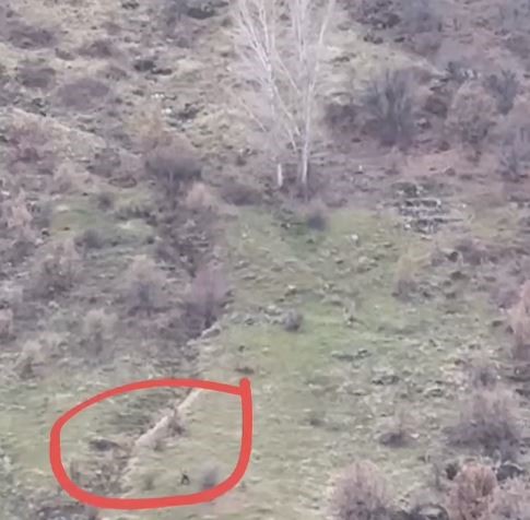 Tunceli’de kaçak avlanan şahıs suçüstü yakalandı
