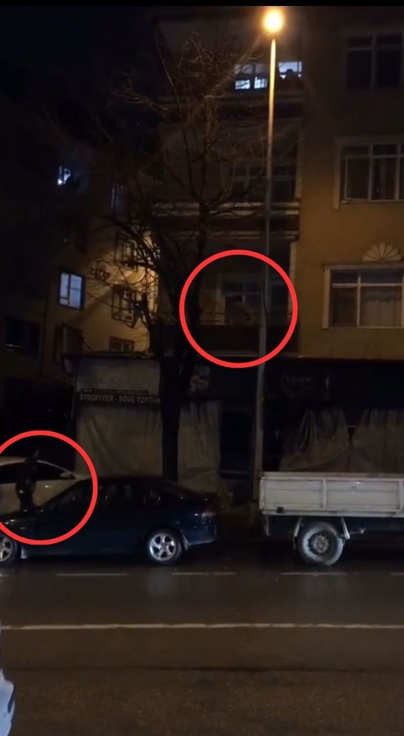 Tırmandığı balkonda suçüstü yakalanmıştı: Hırsız ve gözcüsü adliyeye sevk edildi
