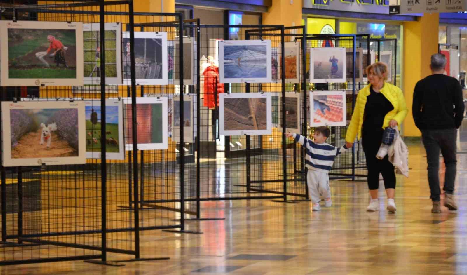 Tarım orman ve insan fotoğraflarda buluştu