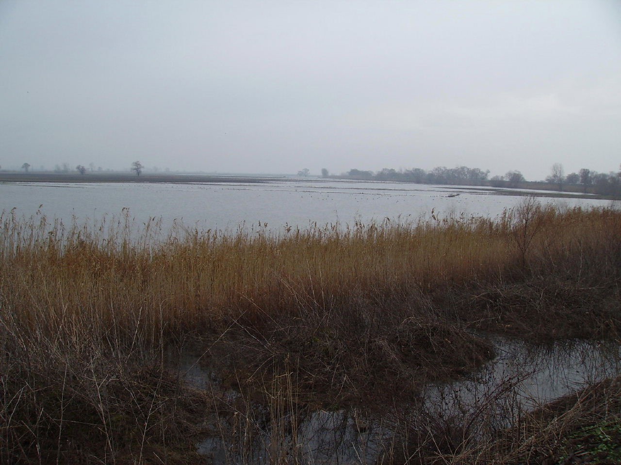 Manyas’ta tarlalardaki su pompaları arızalandı