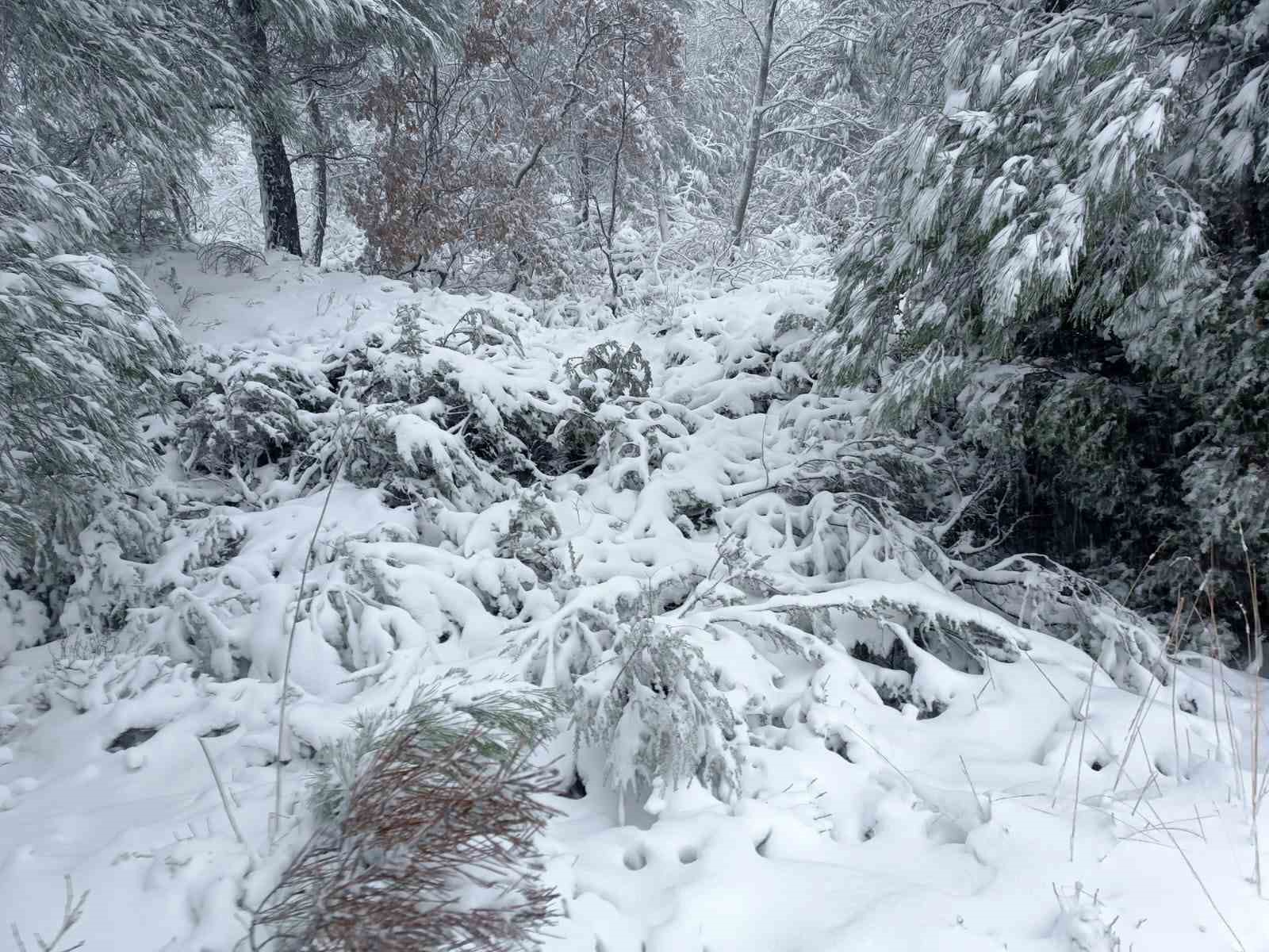 Lapseki&rsquo;nin y&uuml;kseklerinde kar kalınlığı 15 santimetreye ulaştı
