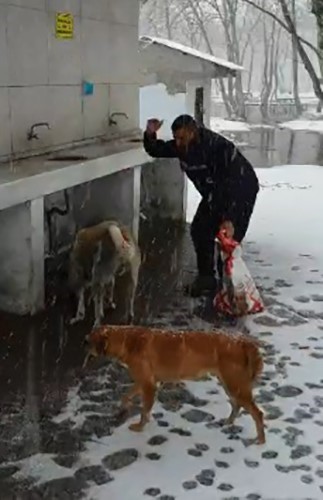 &Ccedil;anakkale&rsquo;de kar altındaki sokak hayvanlarına oyun havası eşliğinde mama
