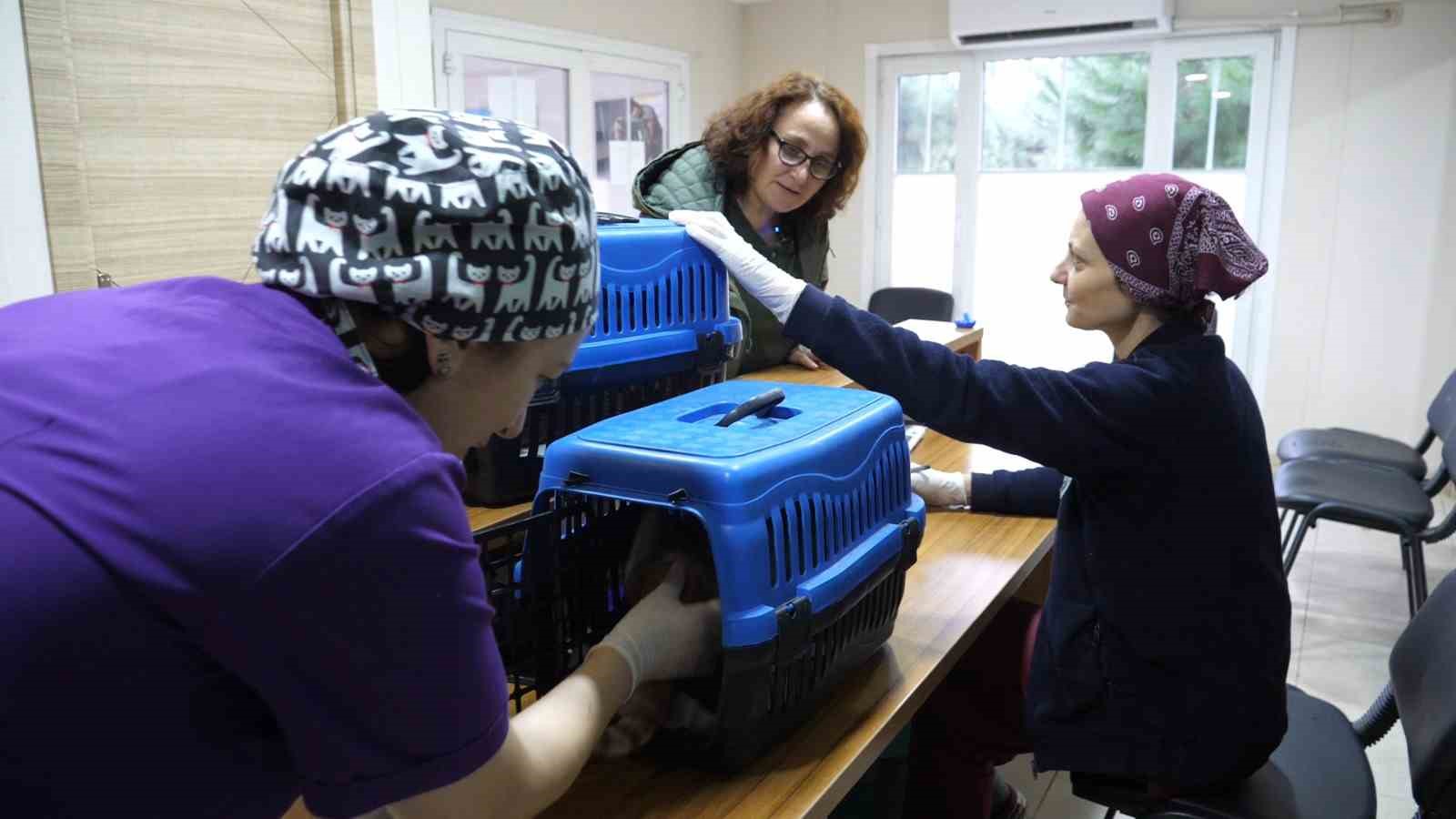 Ortahisar&rsquo;da 10 yılda 14 bin 692 k&ouml;peğe ve 3 bin 874 kediye m&uuml;dahale edildi
