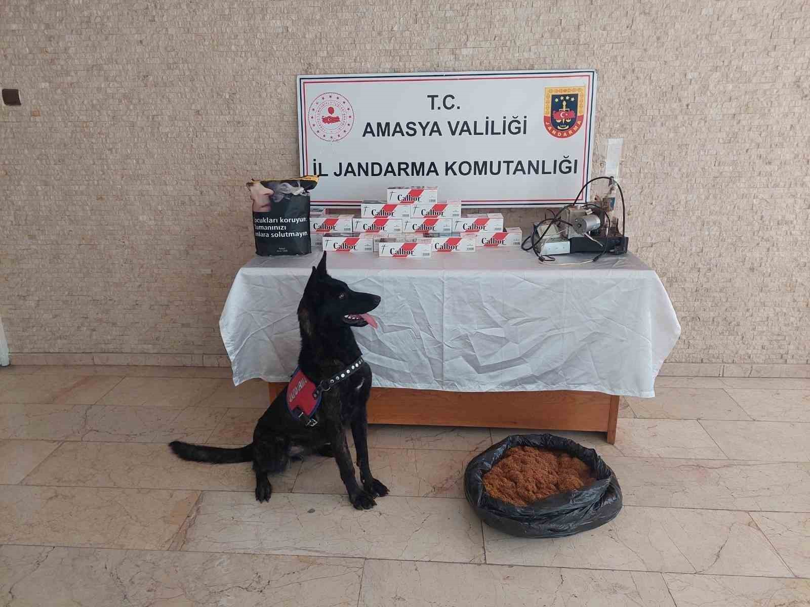 Amasya’da 20 bin dal kaçak makaron ele geçirildi