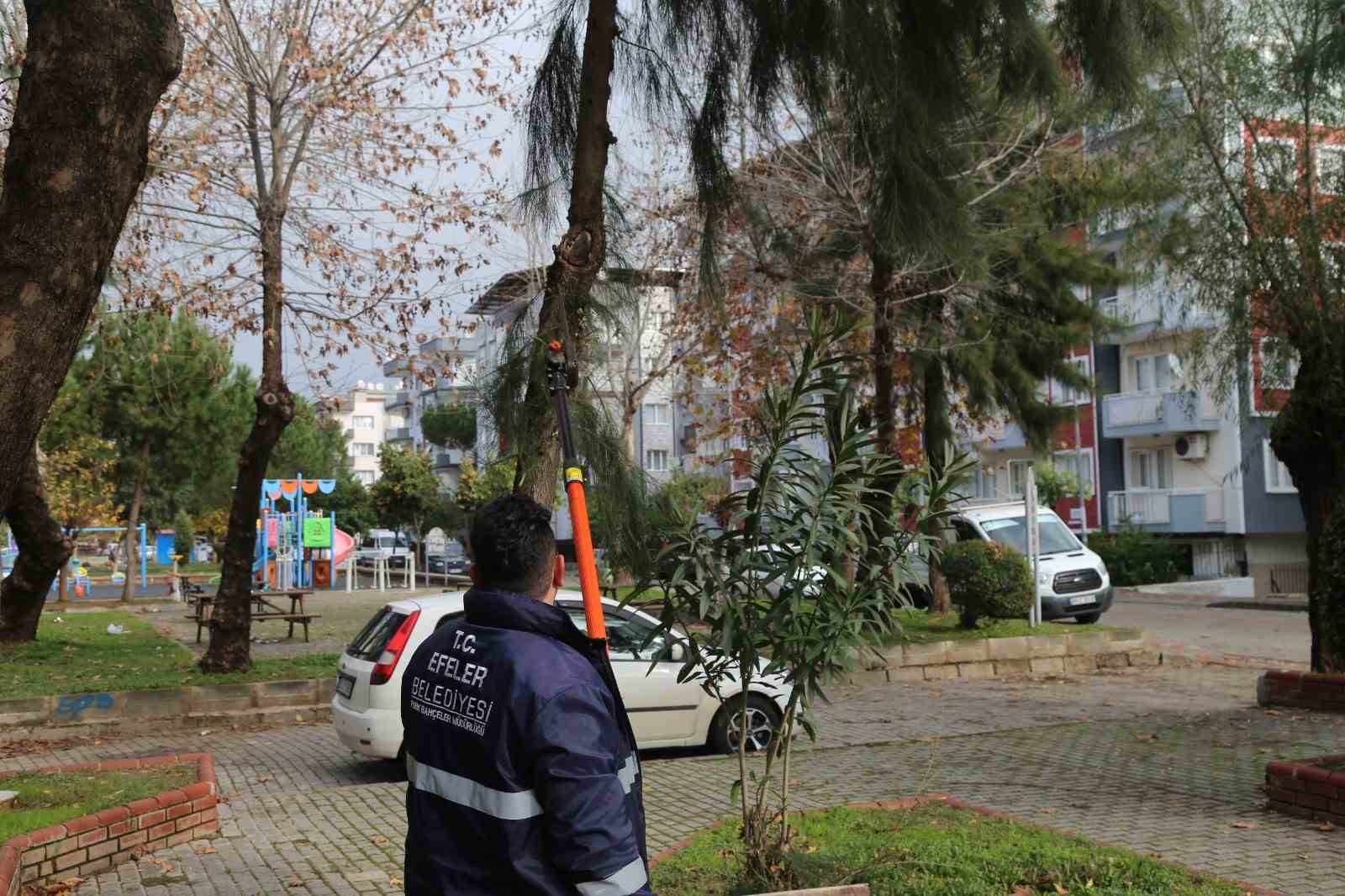 Efeler’in ekipleri park ve bahçelerde bakım çalışması yapıyor
