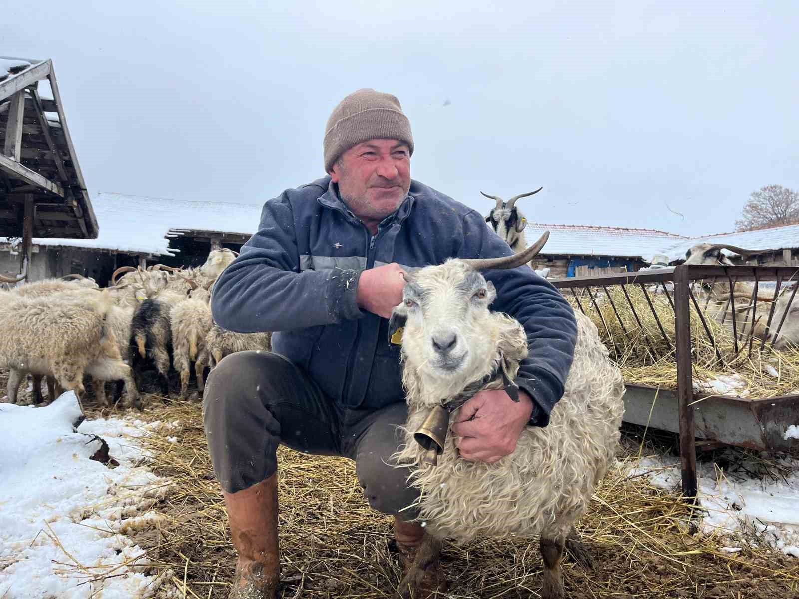 Yağan kar ve ayazla birlikte besicilerin işleri güçleşti
