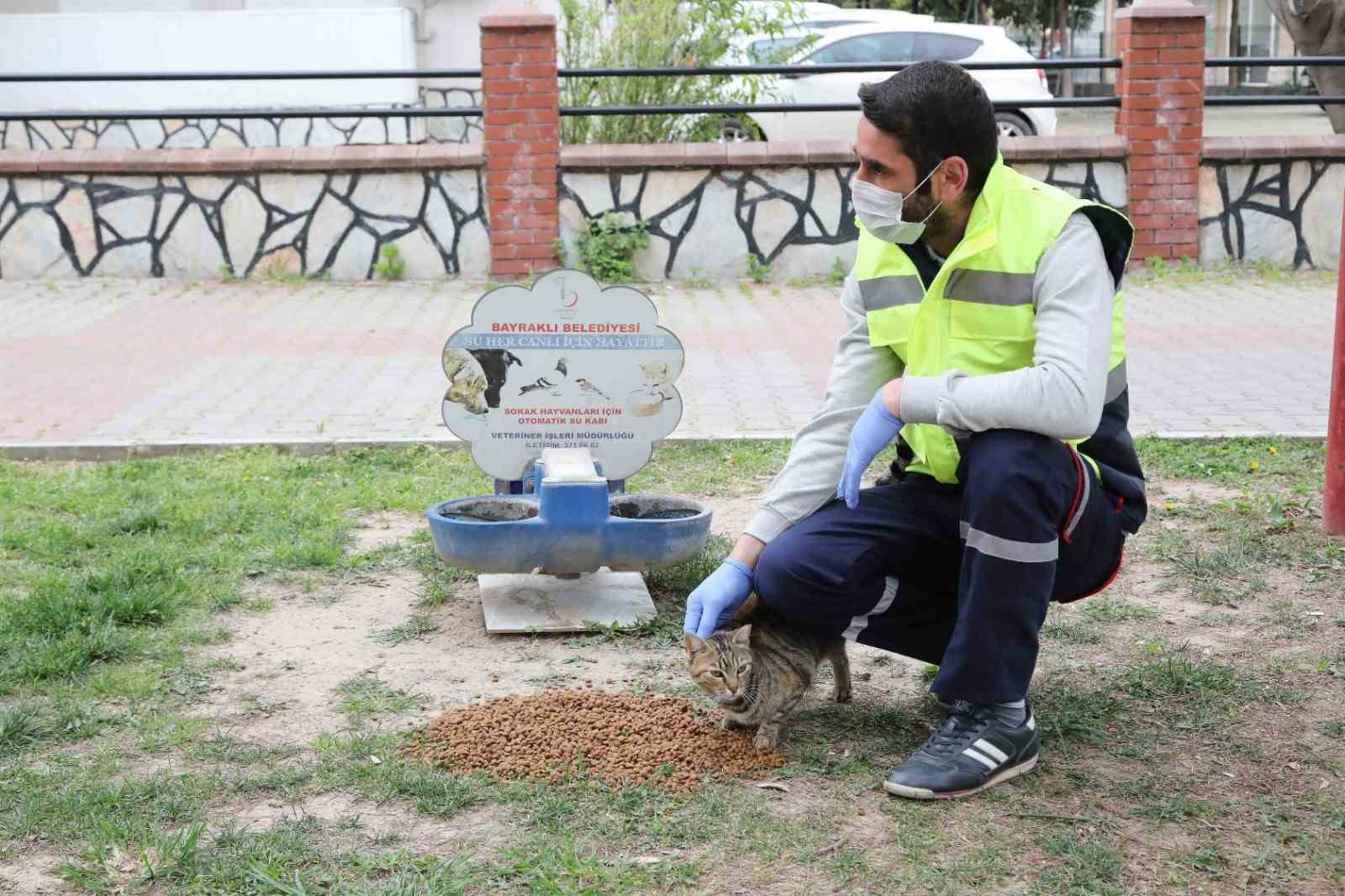 Can dostlara sıcak yuva ve mama desteği
