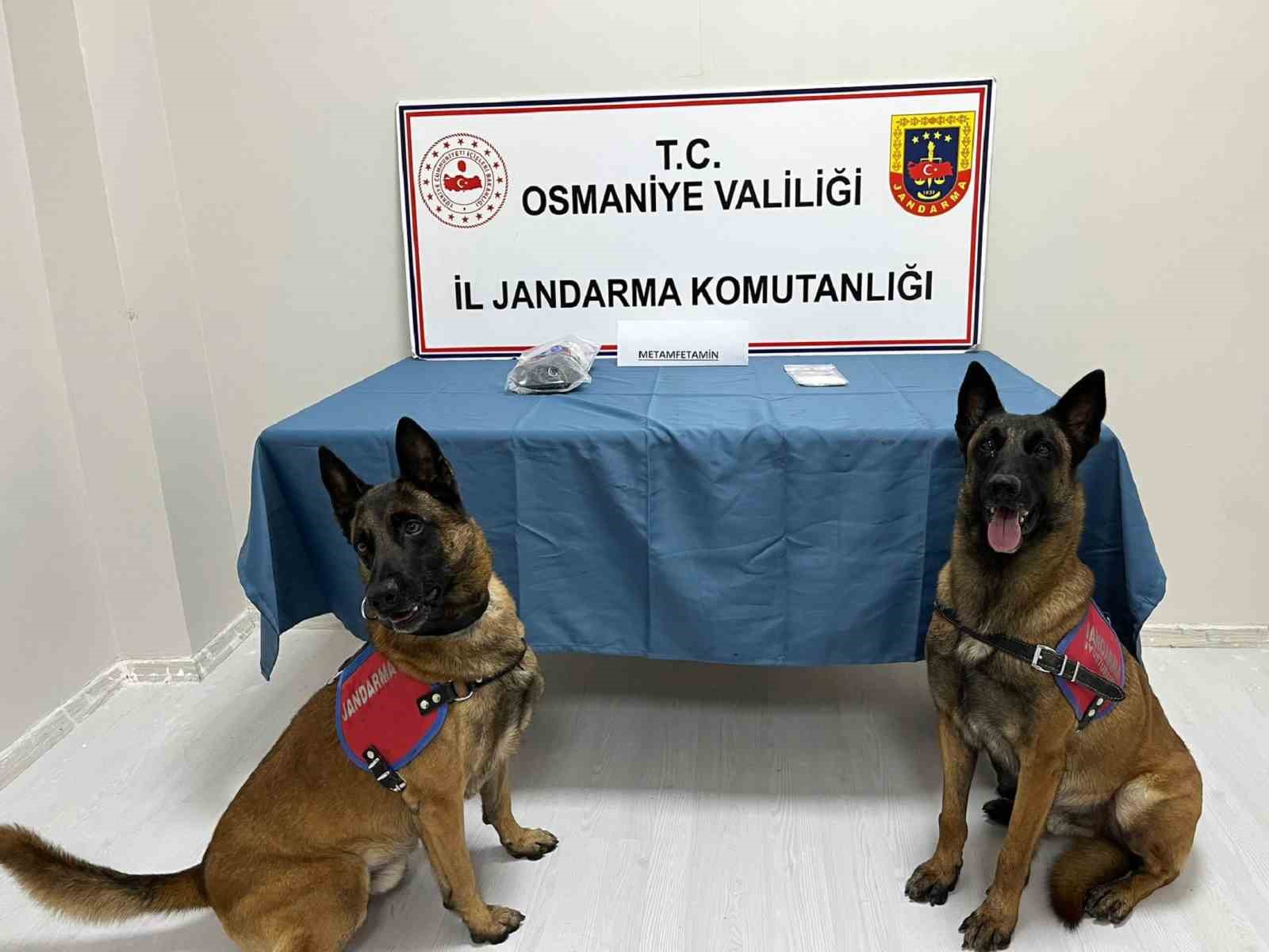 Osmaniye’de jandarmadan uyuşturucu operasyonu