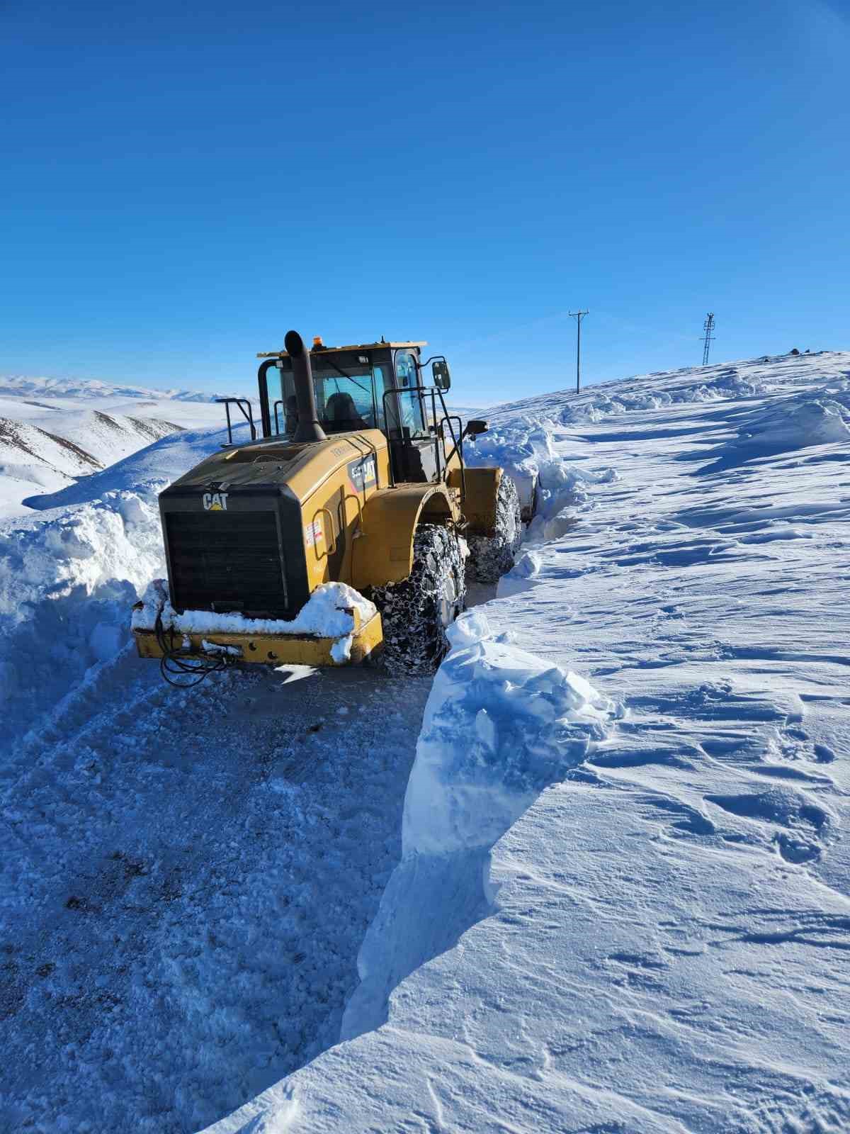 Erzurum’da kar yağışı etkili oluyor
